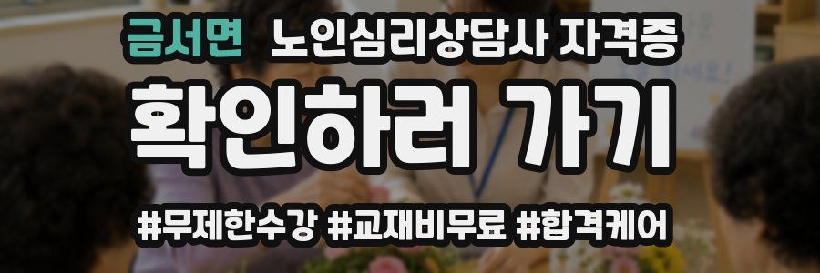 금서면 노인 심리 상담사 자격증