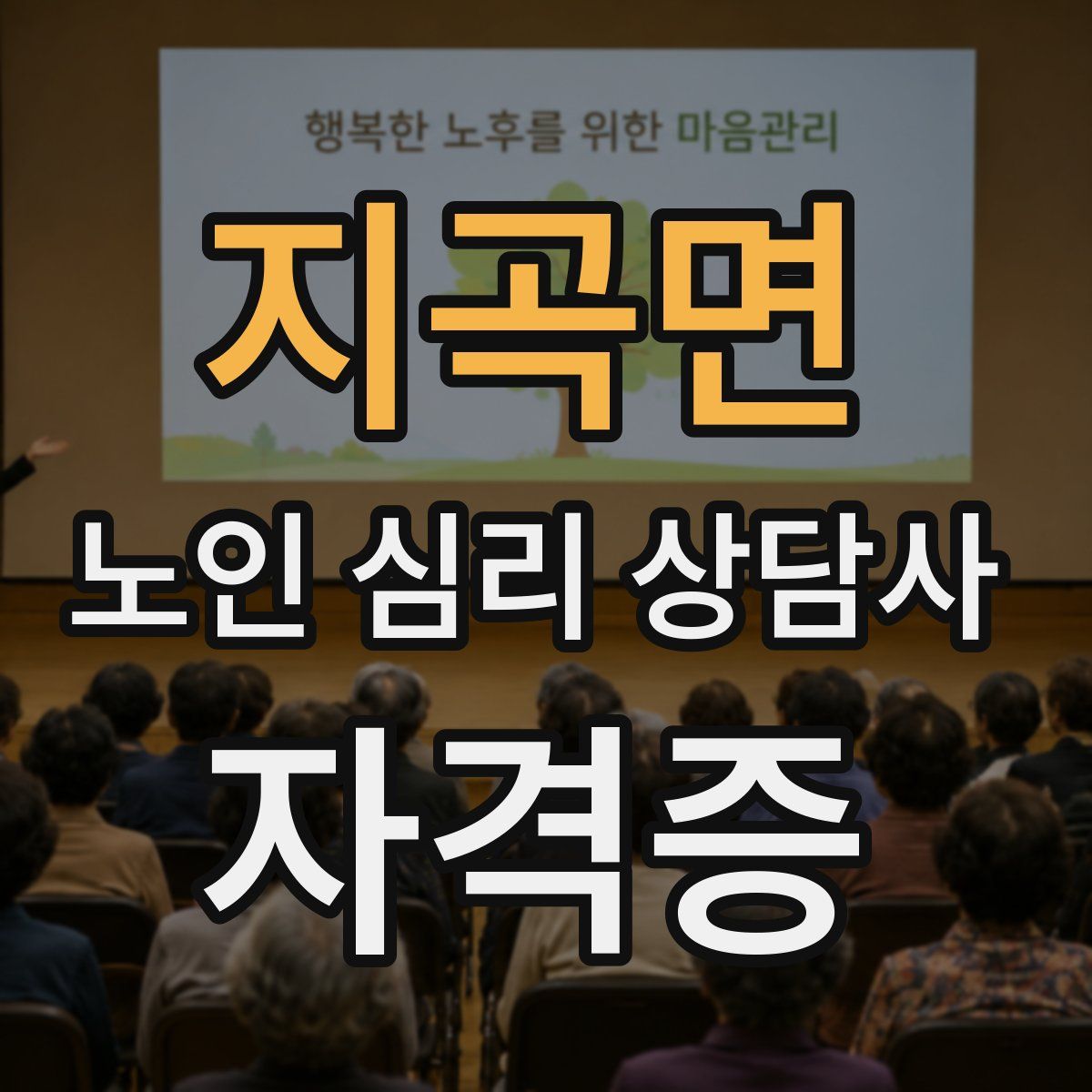 지곡면 노인 심리 상담사 자격증