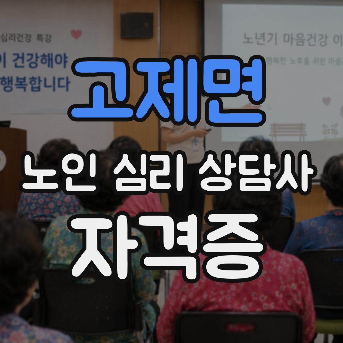 고제면 노인 심리 상담사 자격증