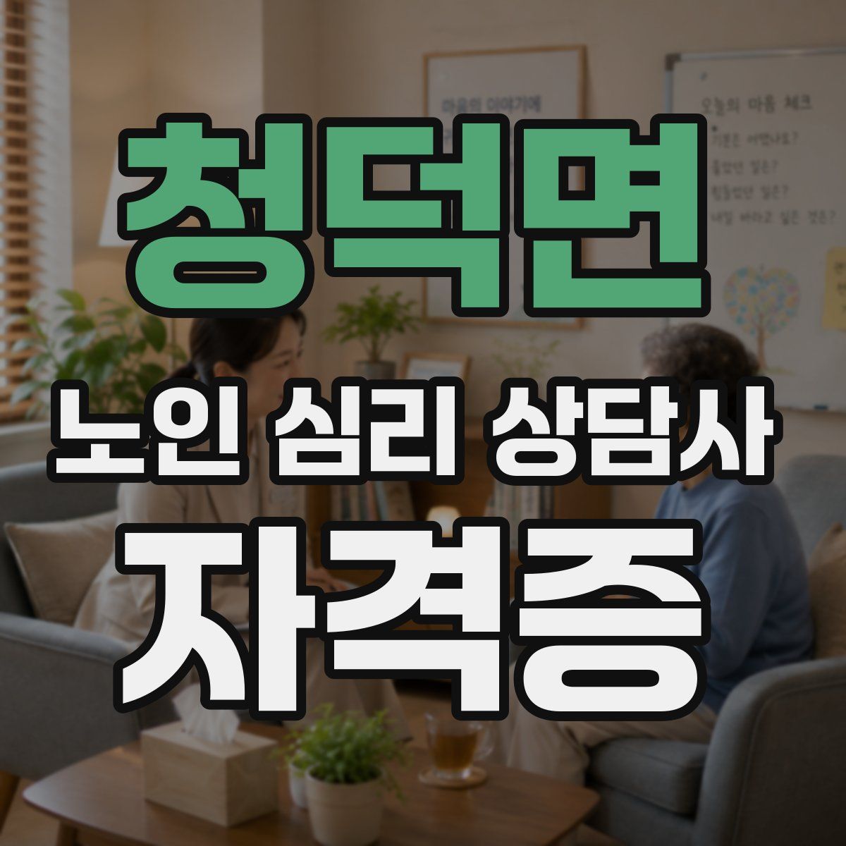 청덕면 노인 심리 상담사 자격증