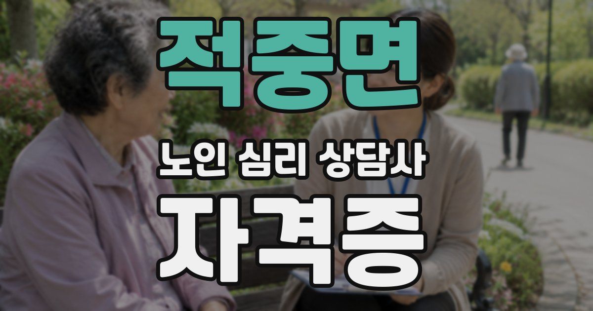 적중면 노인 심리 상담사 자격증