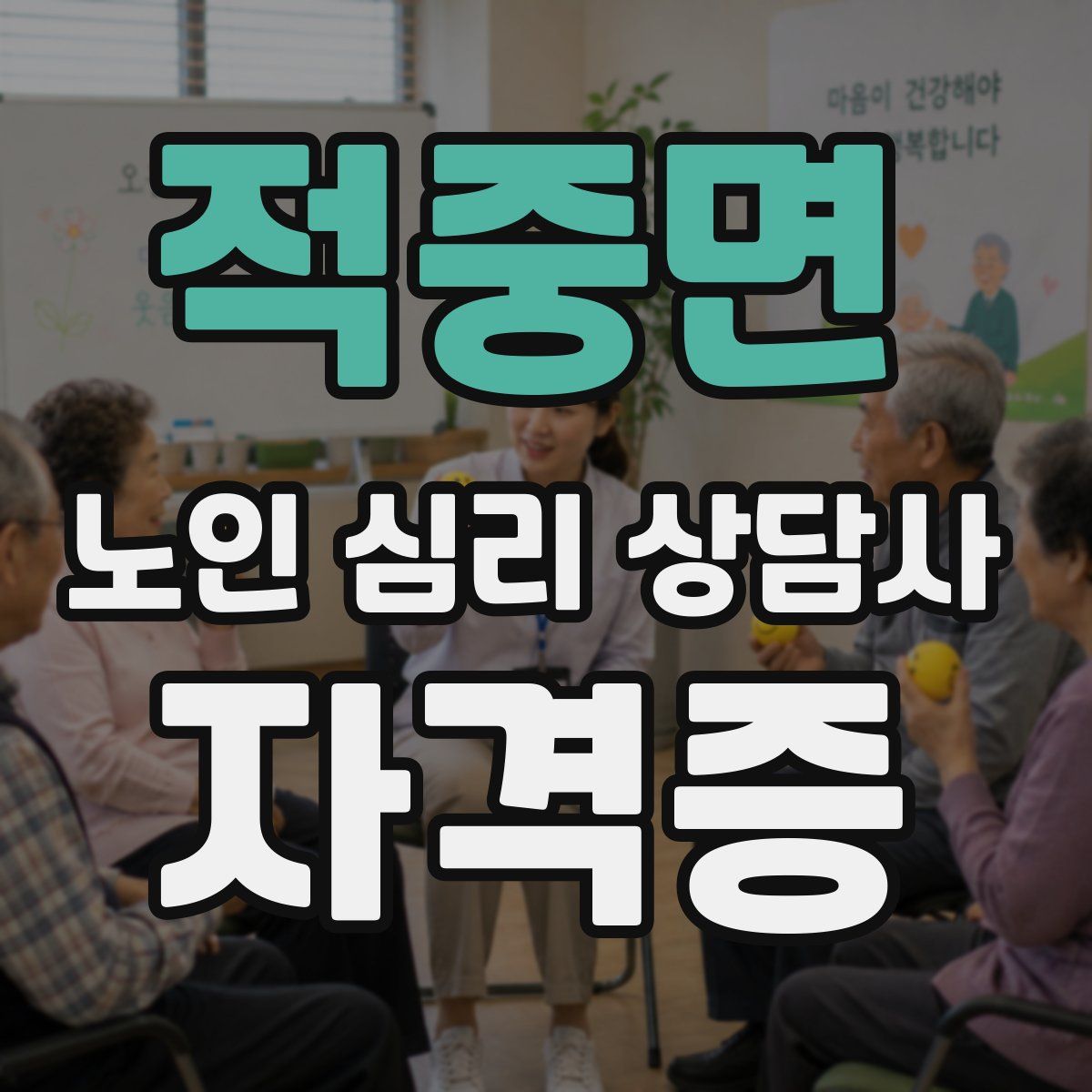 적중면 노인 심리 상담사 자격증
