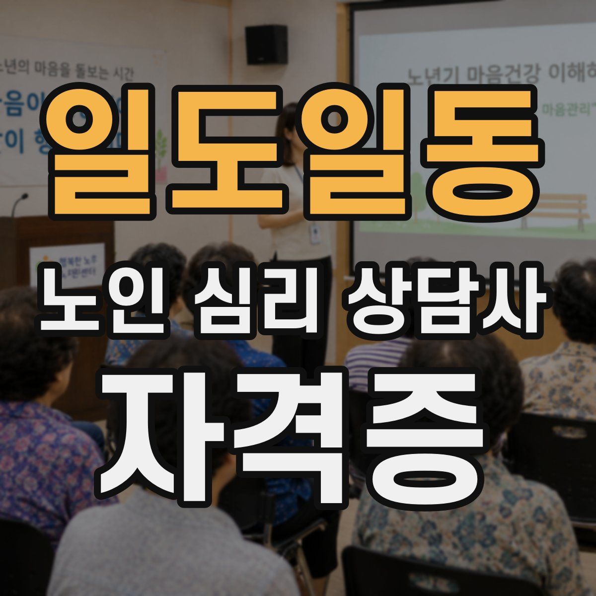 일도일동 노인 심리 상담사 자격증