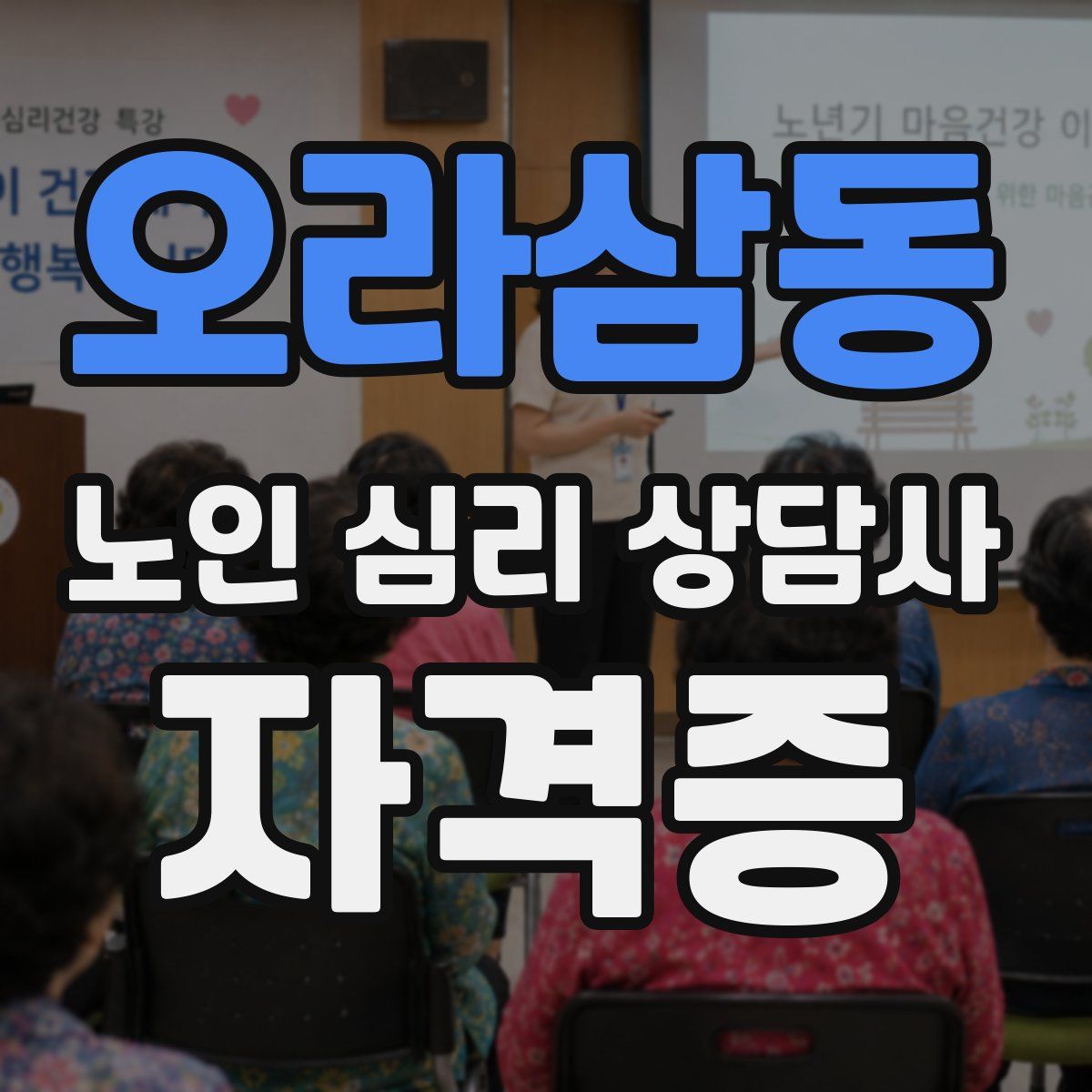 오라삼동 노인 심리 상담사 자격증