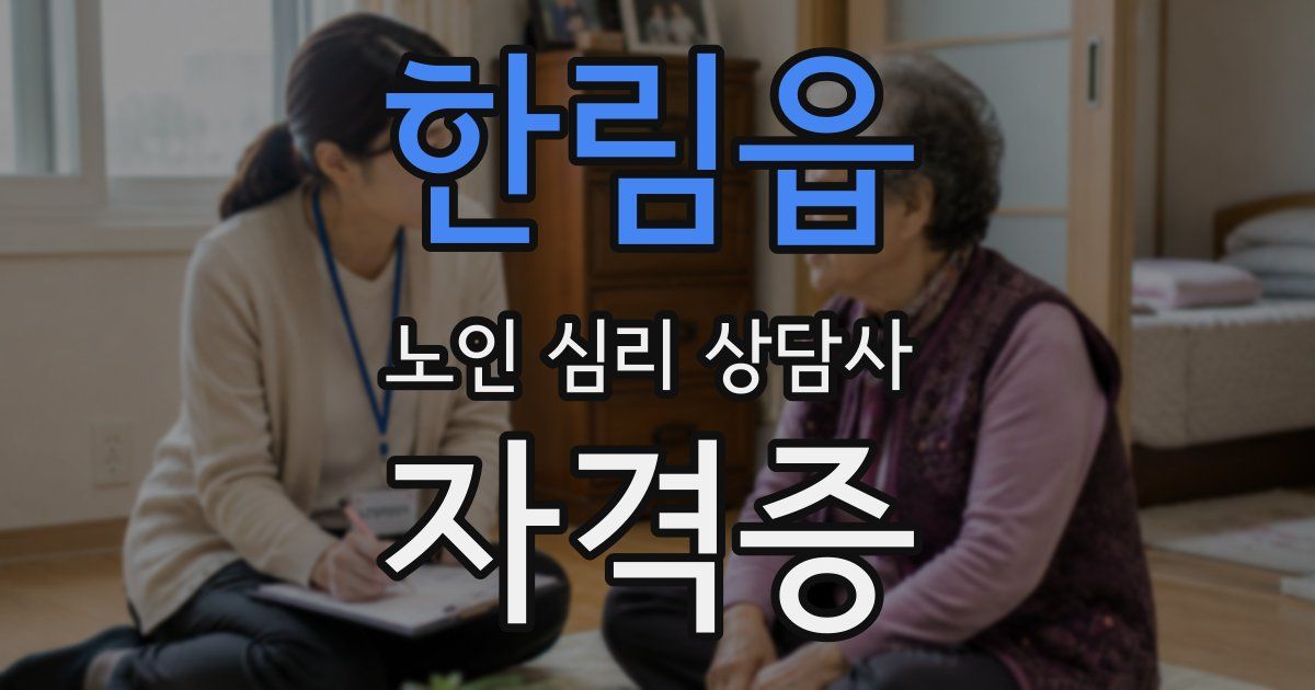 한림읍 노인 심리 상담사 자격증