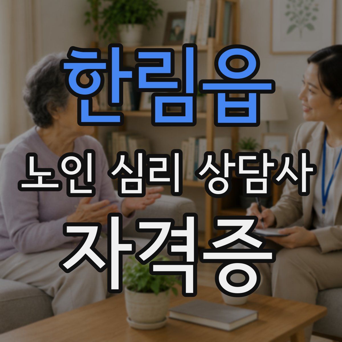 한림읍 노인 심리 상담사 자격증