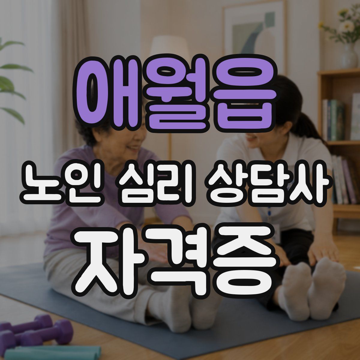 애월읍 노인 심리 상담사 자격증