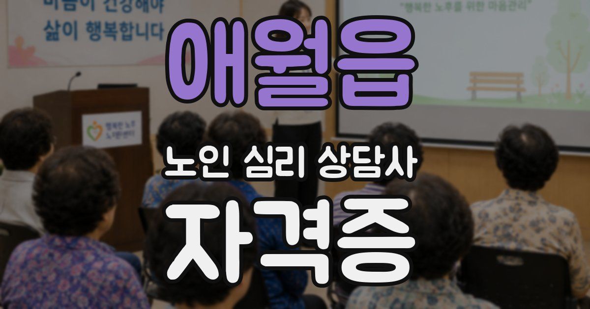 애월읍 노인 심리 상담사 자격증