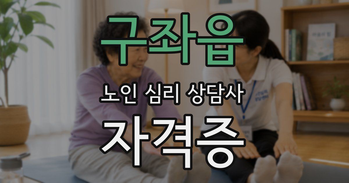구좌읍 노인 심리 상담사 자격증