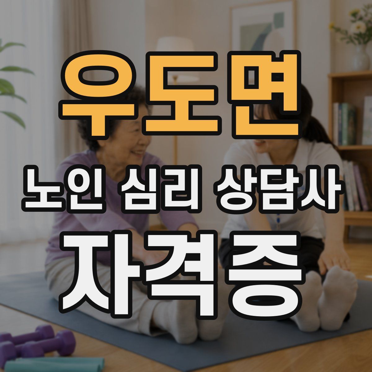 우도면 노인 심리 상담사 자격증