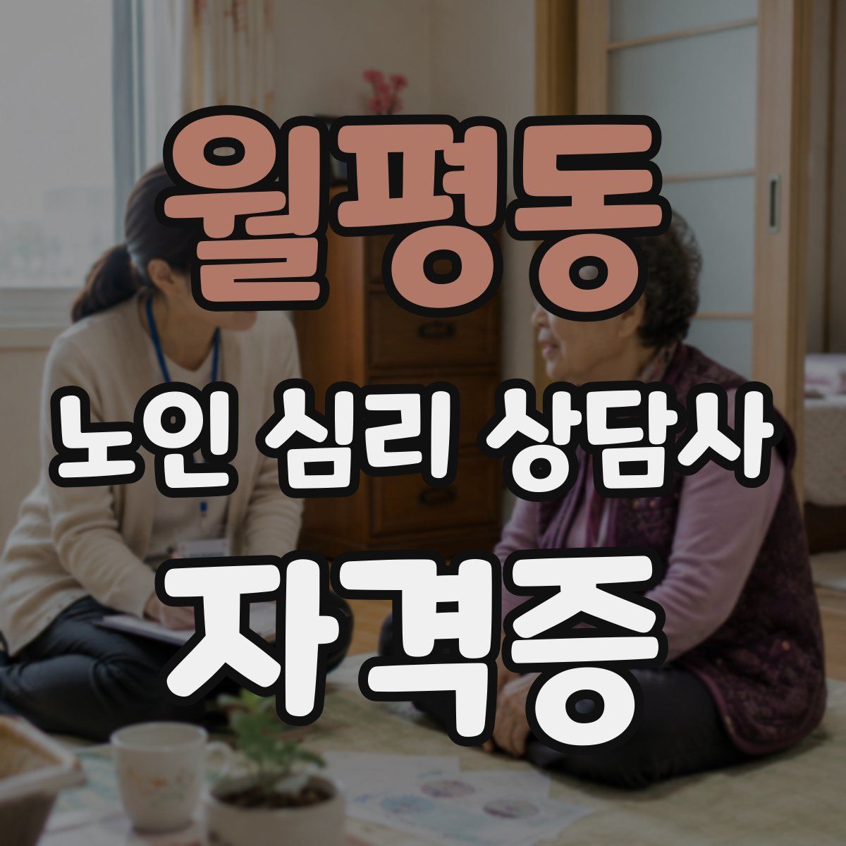 월평동 노인 심리 상담사 자격증