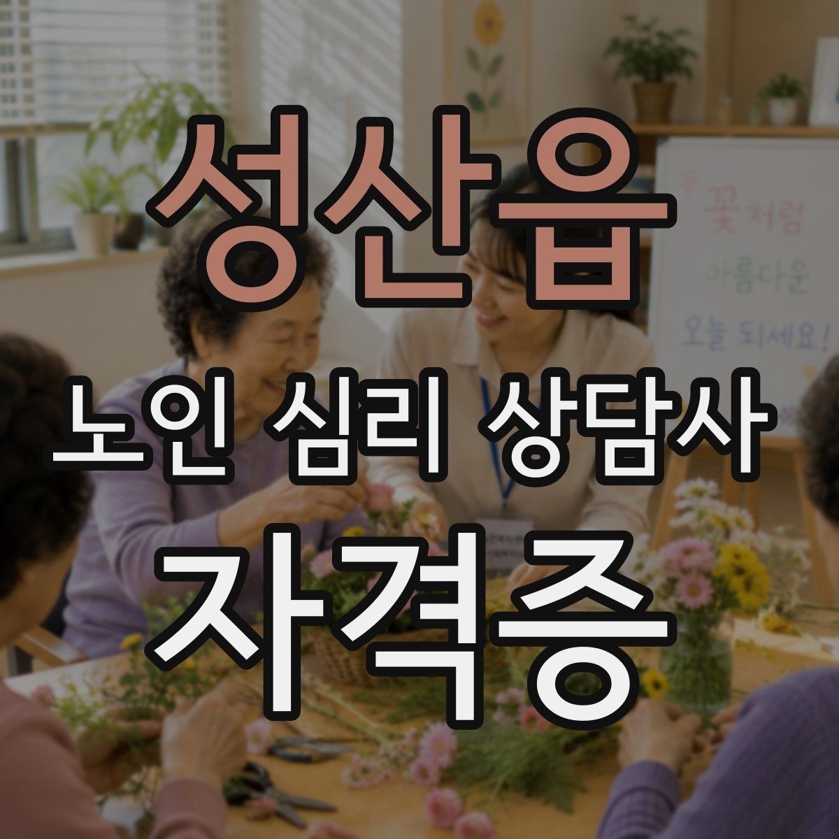 성산읍 노인 심리 상담사 자격증