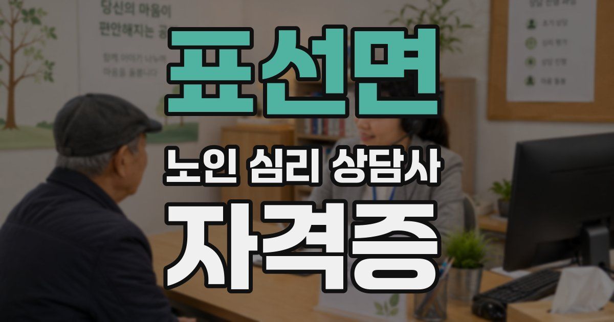 표선면 노인 심리 상담사 자격증
