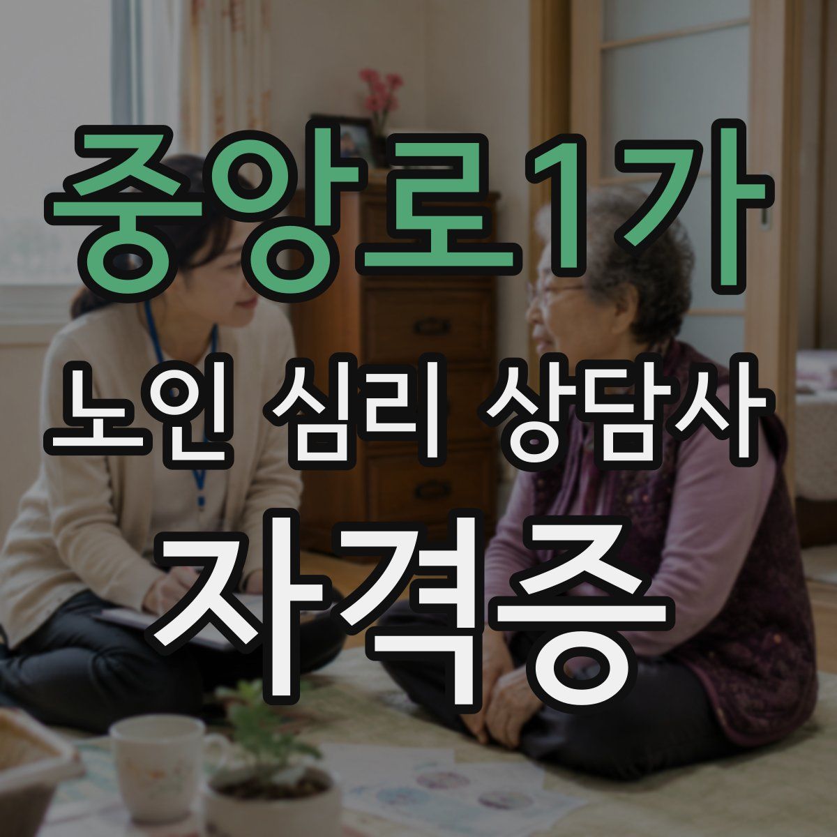 중앙로1가 노인 심리 상담사 자격증