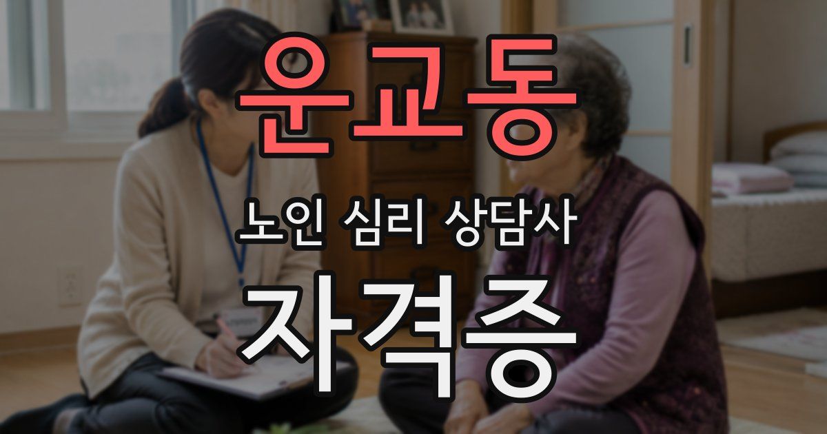 운교동 노인 심리 상담사 자격증