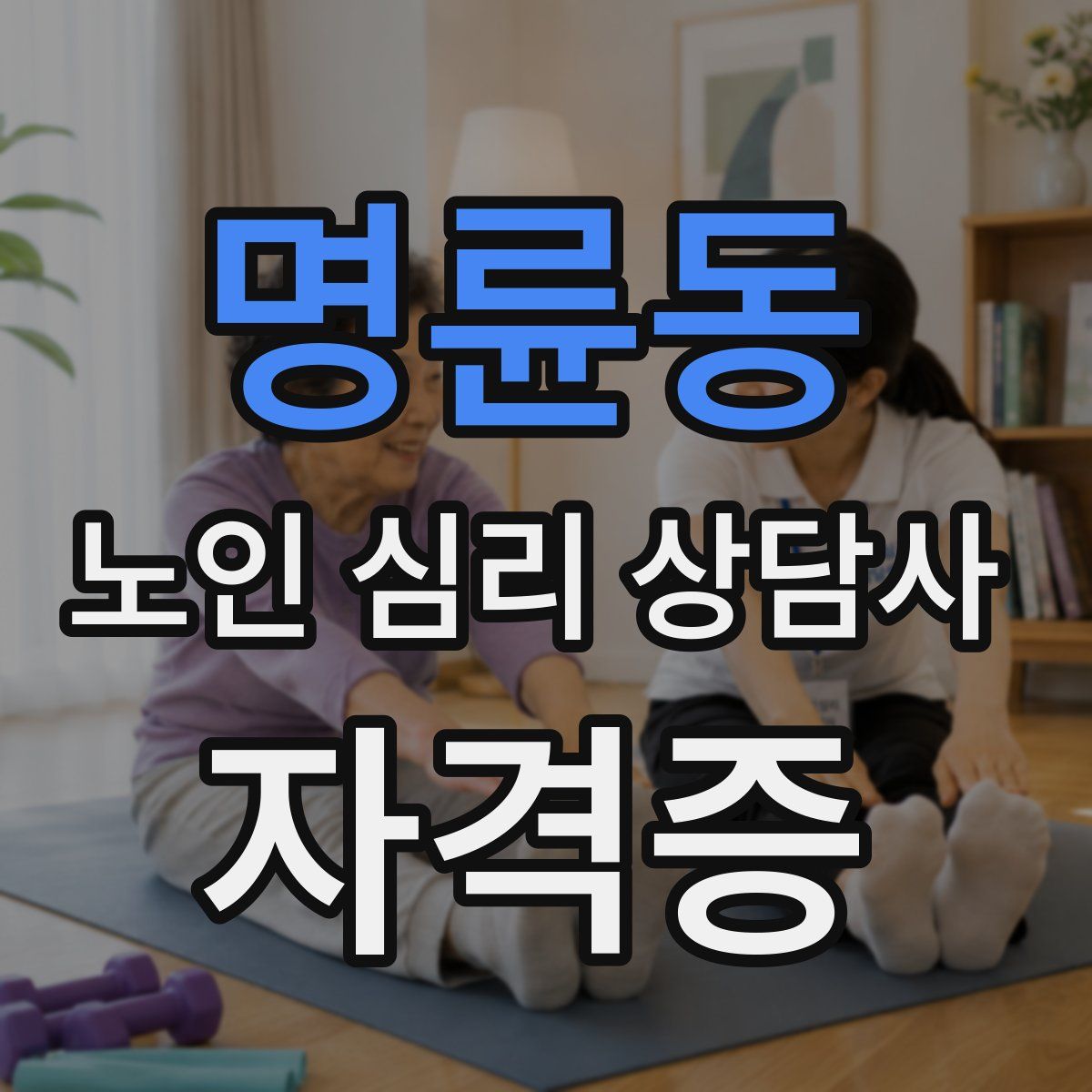 명륜동 노인 심리 상담사 자격증