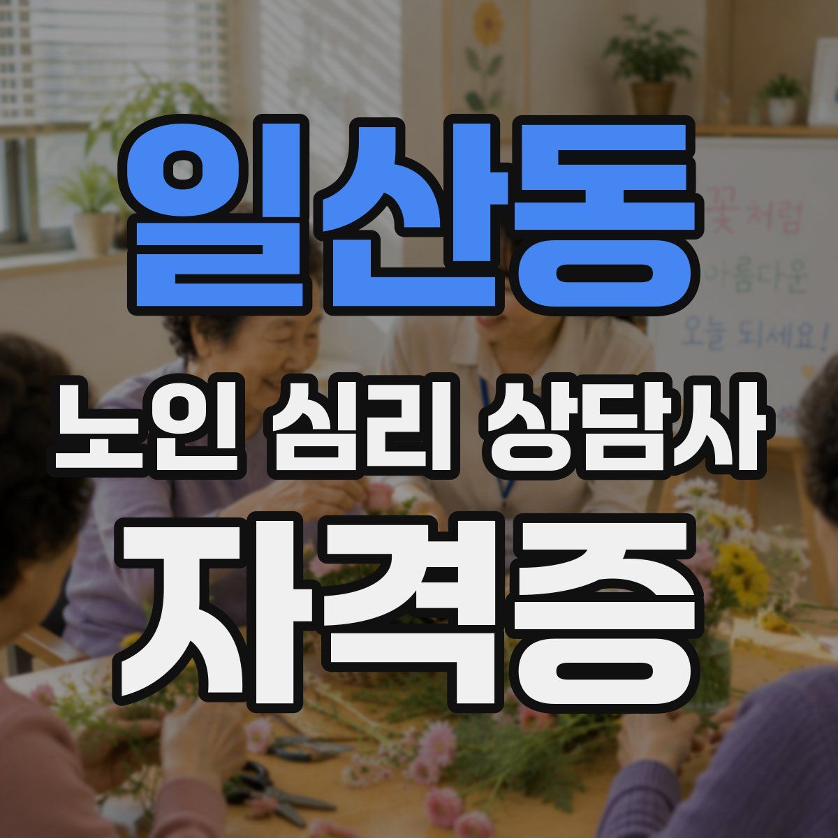 일산동 노인 심리 상담사 자격증
