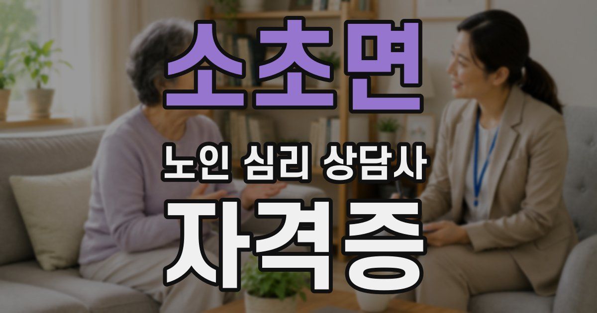 소초면 노인 심리 상담사 자격증