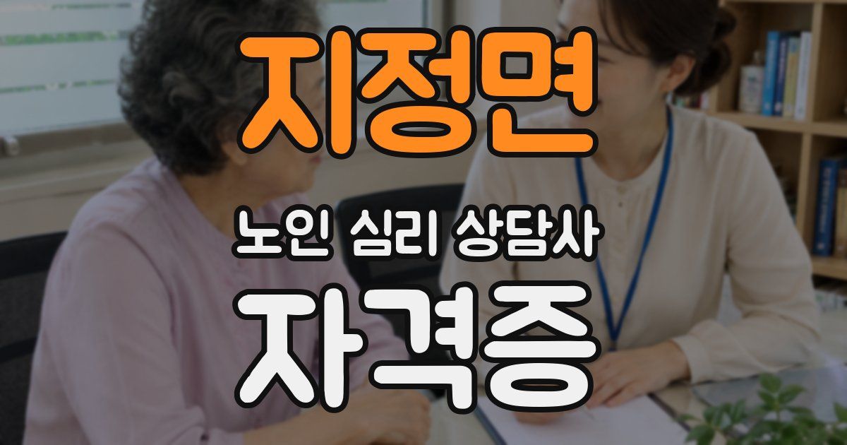 지정면 노인 심리 상담사 자격증