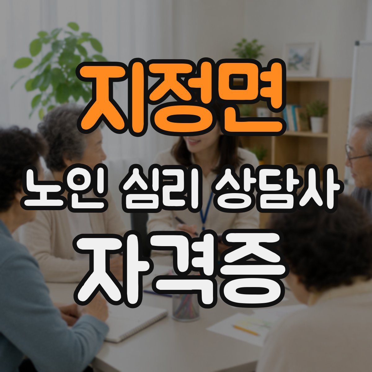 지정면 노인 심리 상담사 자격증
