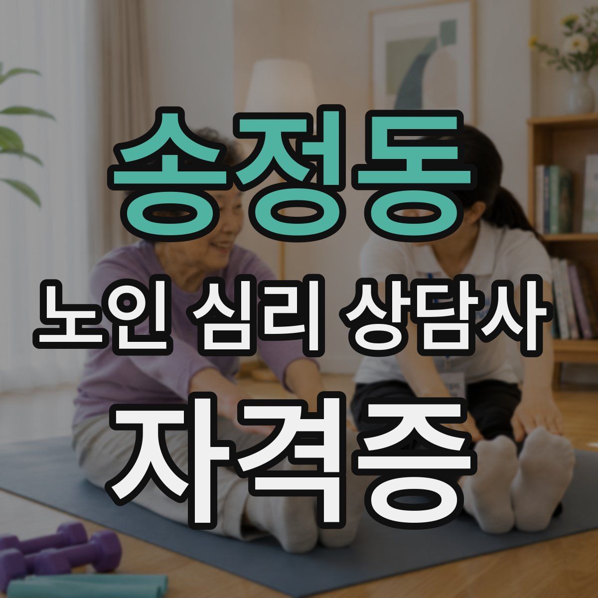 송정동 노인 심리 상담사 자격증