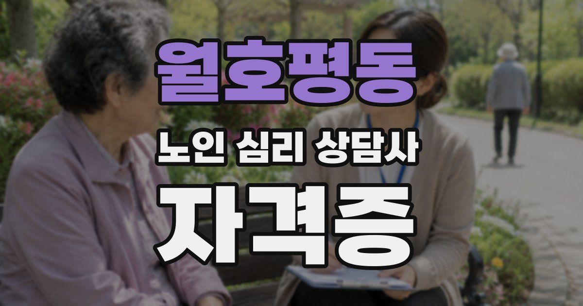 월호평동 노인 심리 상담사 자격증