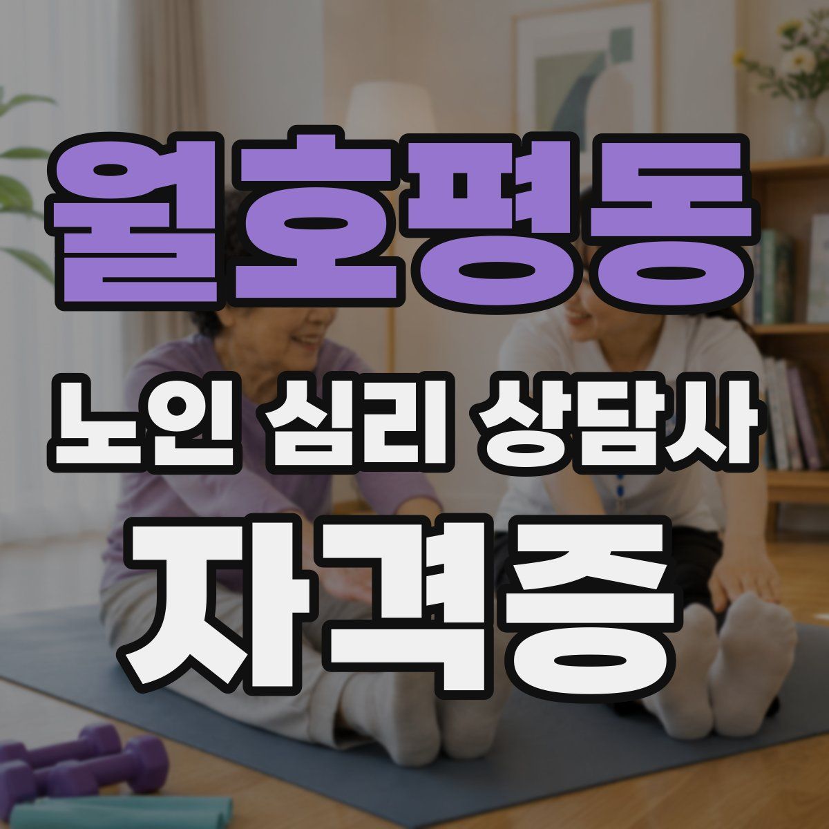 월호평동 노인 심리 상담사 자격증