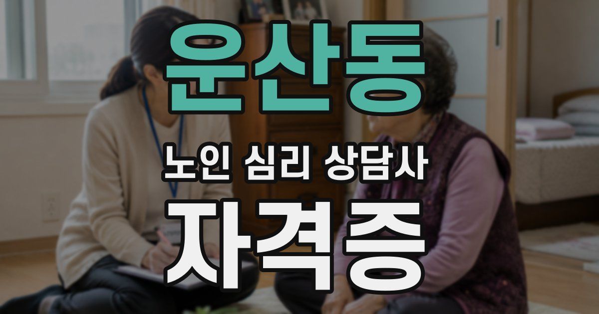 운산동 노인 심리 상담사 자격증