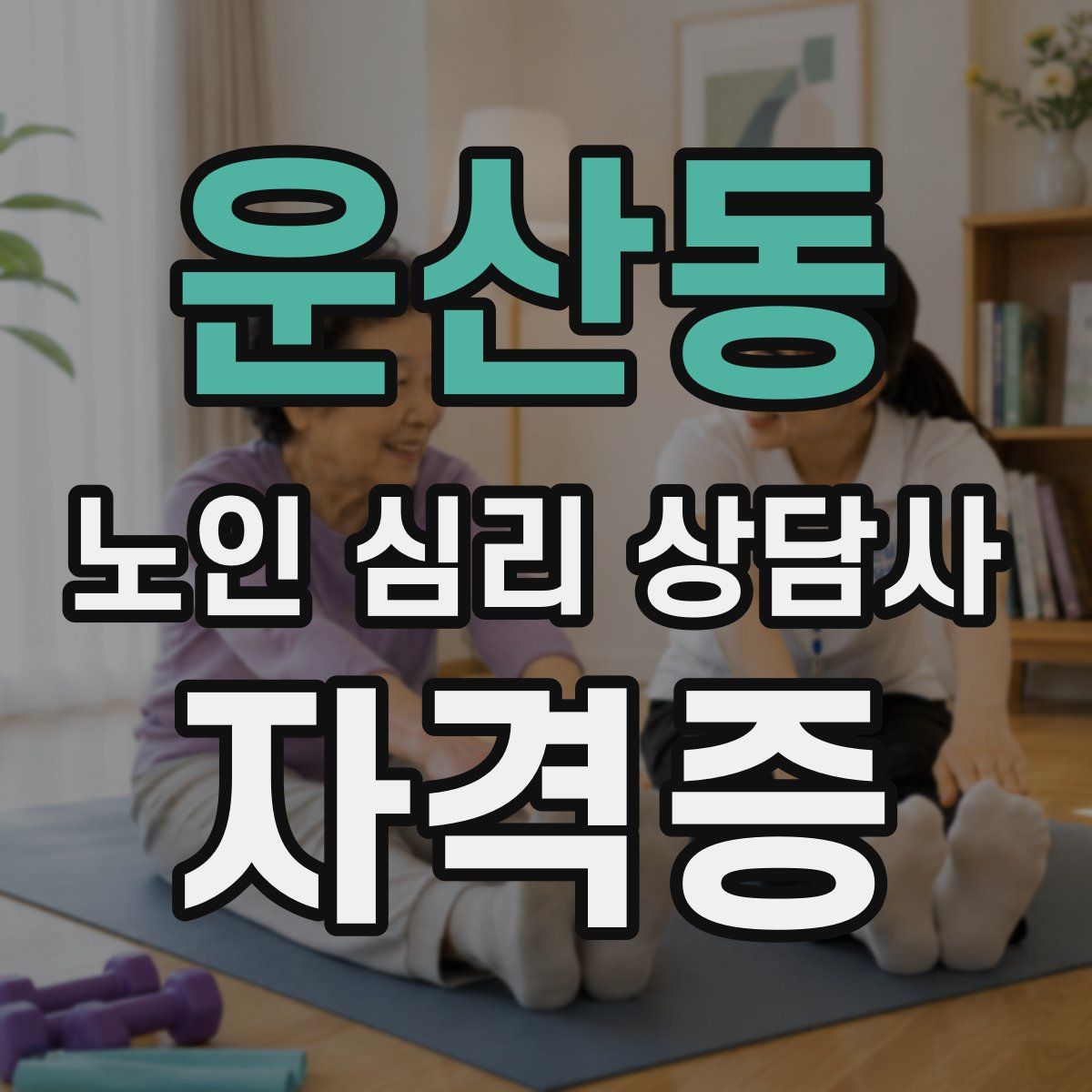 운산동 노인 심리 상담사 자격증