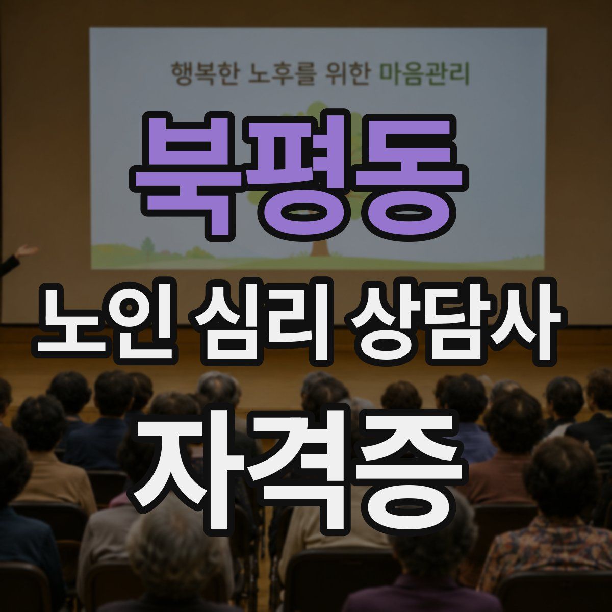 북평동 노인 심리 상담사 자격증