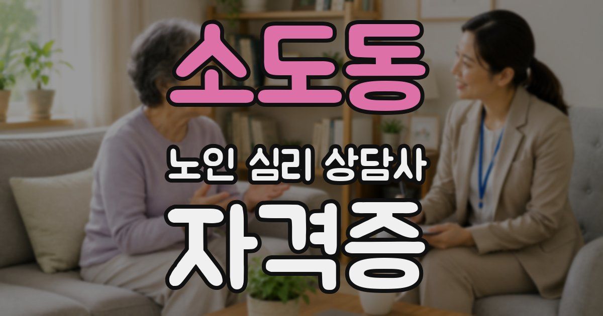 소도동 노인 심리 상담사 자격증