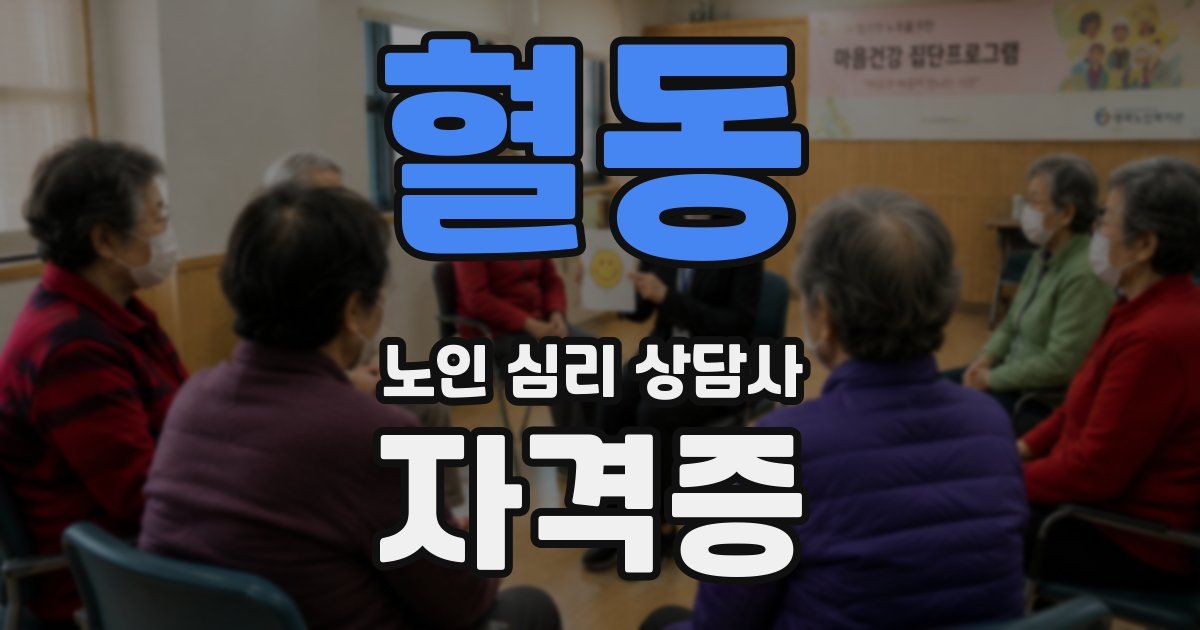 혈동 노인 심리 상담사 자격증