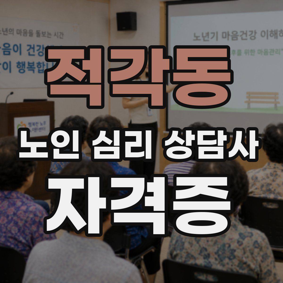 적각동 노인 심리 상담사 자격증