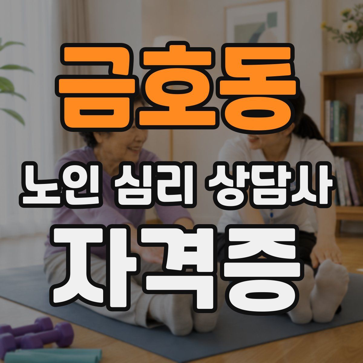 금호동 노인 심리 상담사 자격증