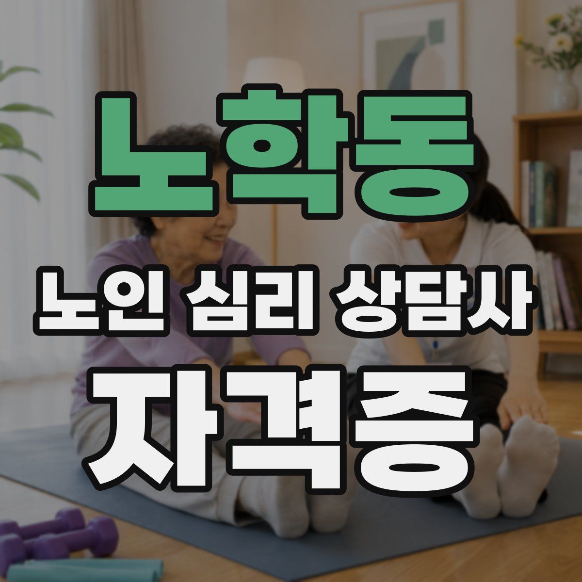 노학동 노인 심리 상담사 자격증