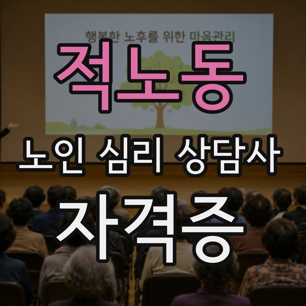 적노동 노인 심리 상담사 자격증