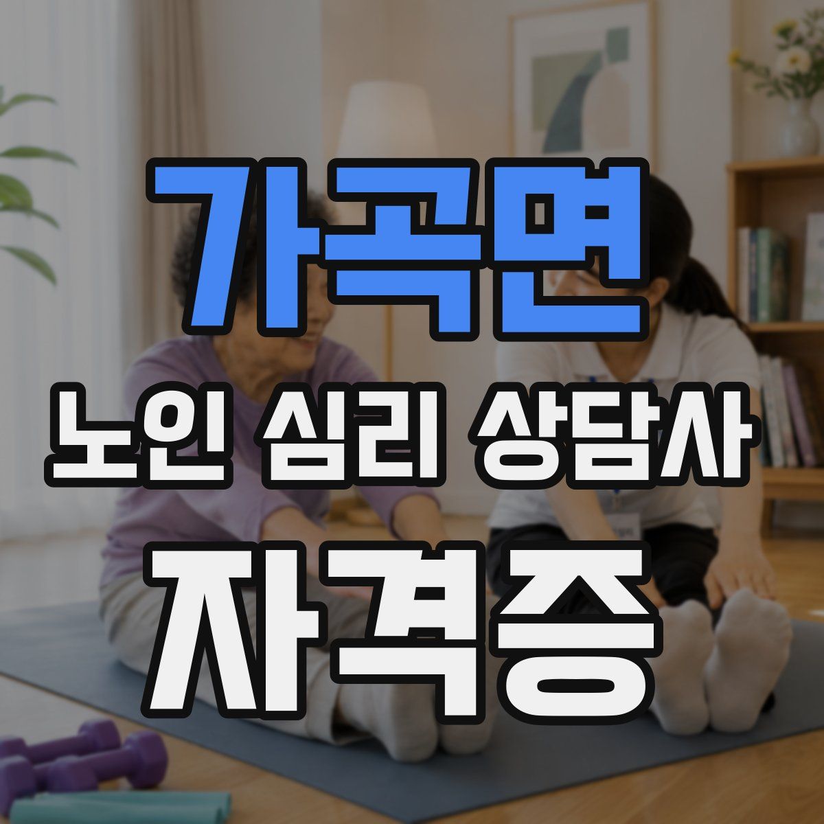 가곡면 노인 심리 상담사 자격증