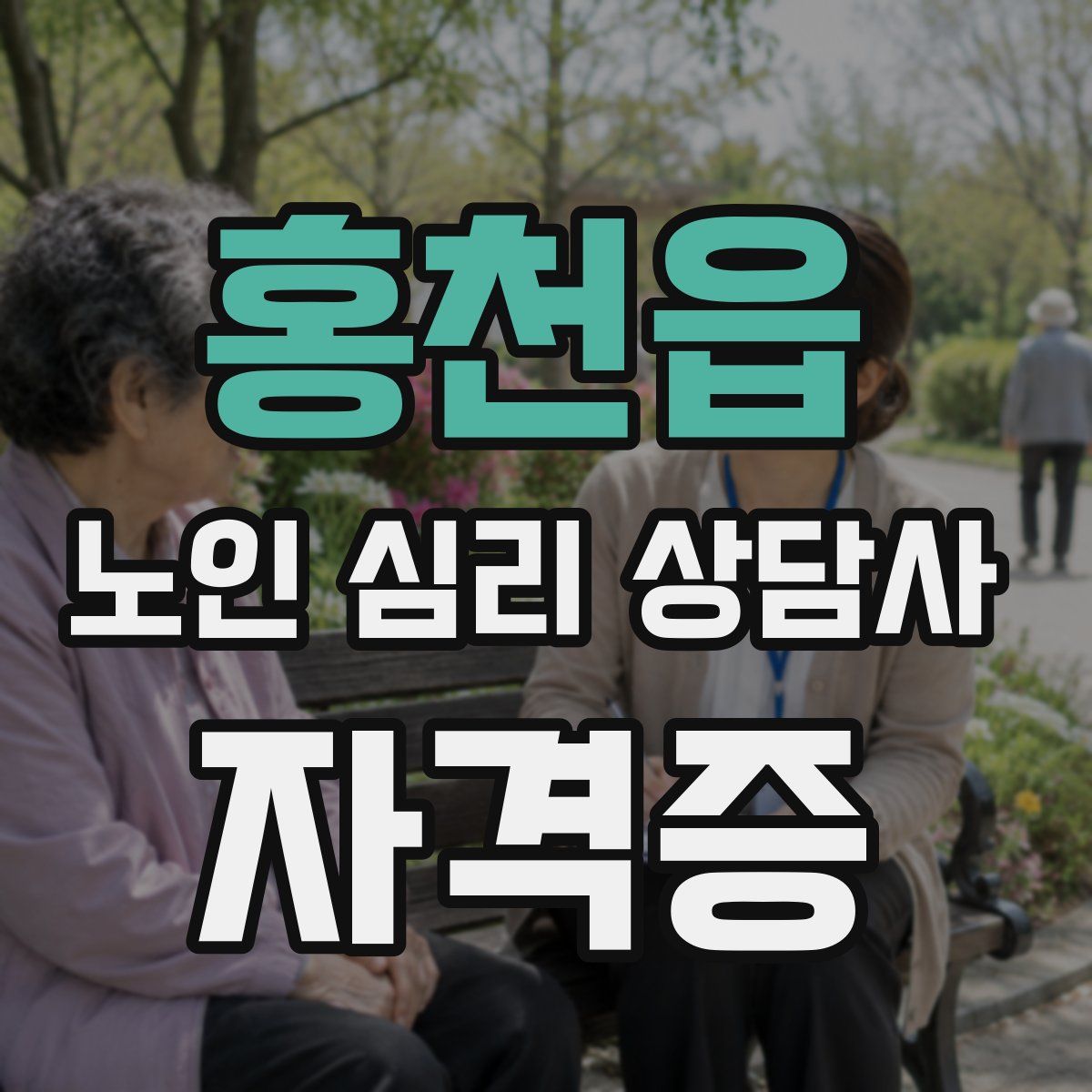 홍천읍 노인 심리 상담사 자격증