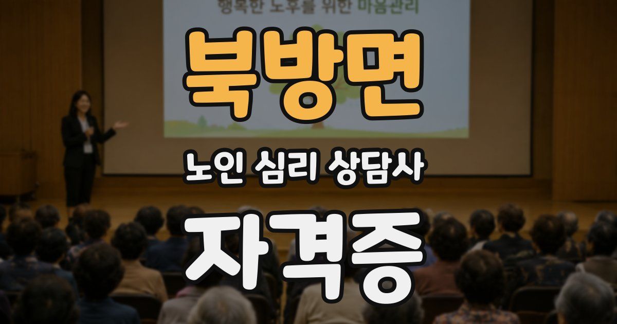 북방면 노인 심리 상담사 자격증