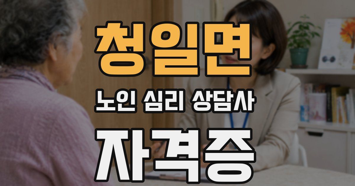청일면 노인 심리 상담사 자격증
