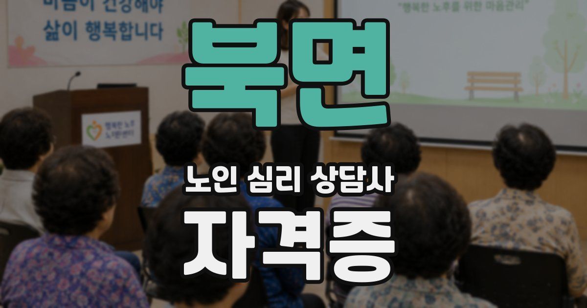 북면 노인 심리 상담사 자격증