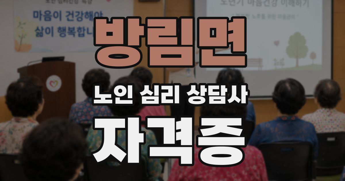 방림면 노인 심리 상담사 자격증