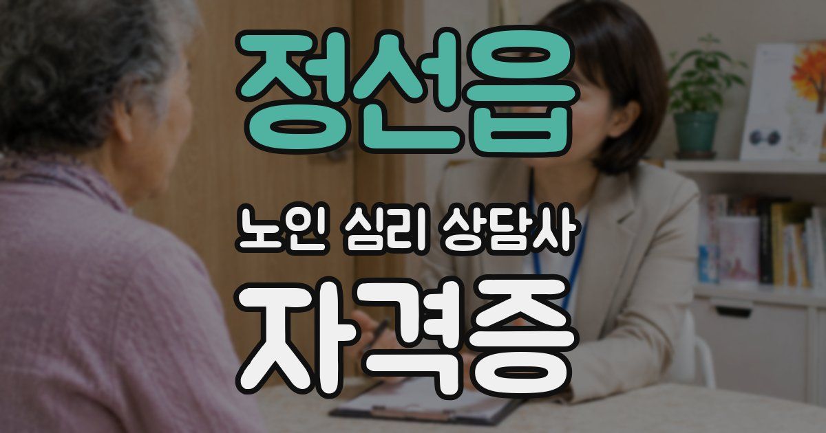 정선읍 노인 심리 상담사 자격증
