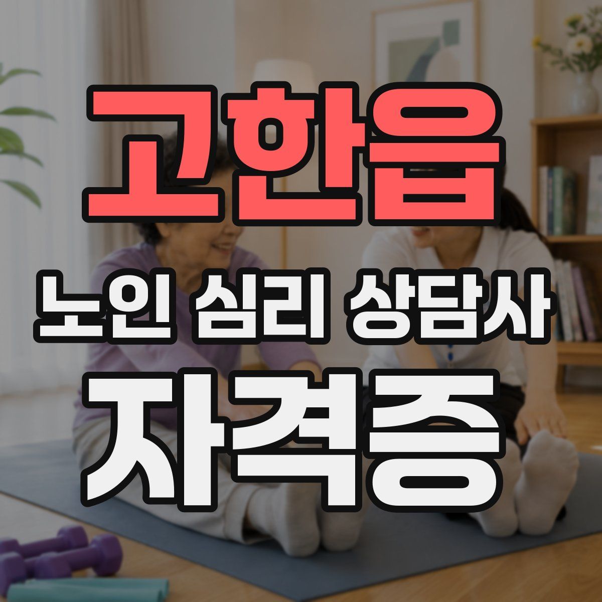 고한읍 노인 심리 상담사 자격증