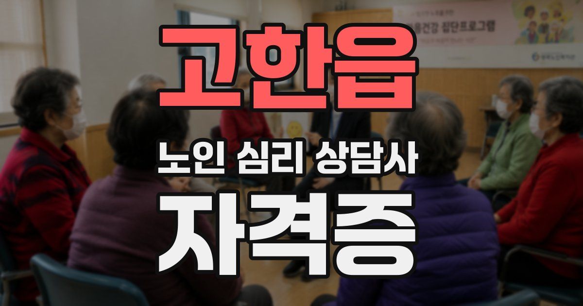 고한읍 노인 심리 상담사 자격증