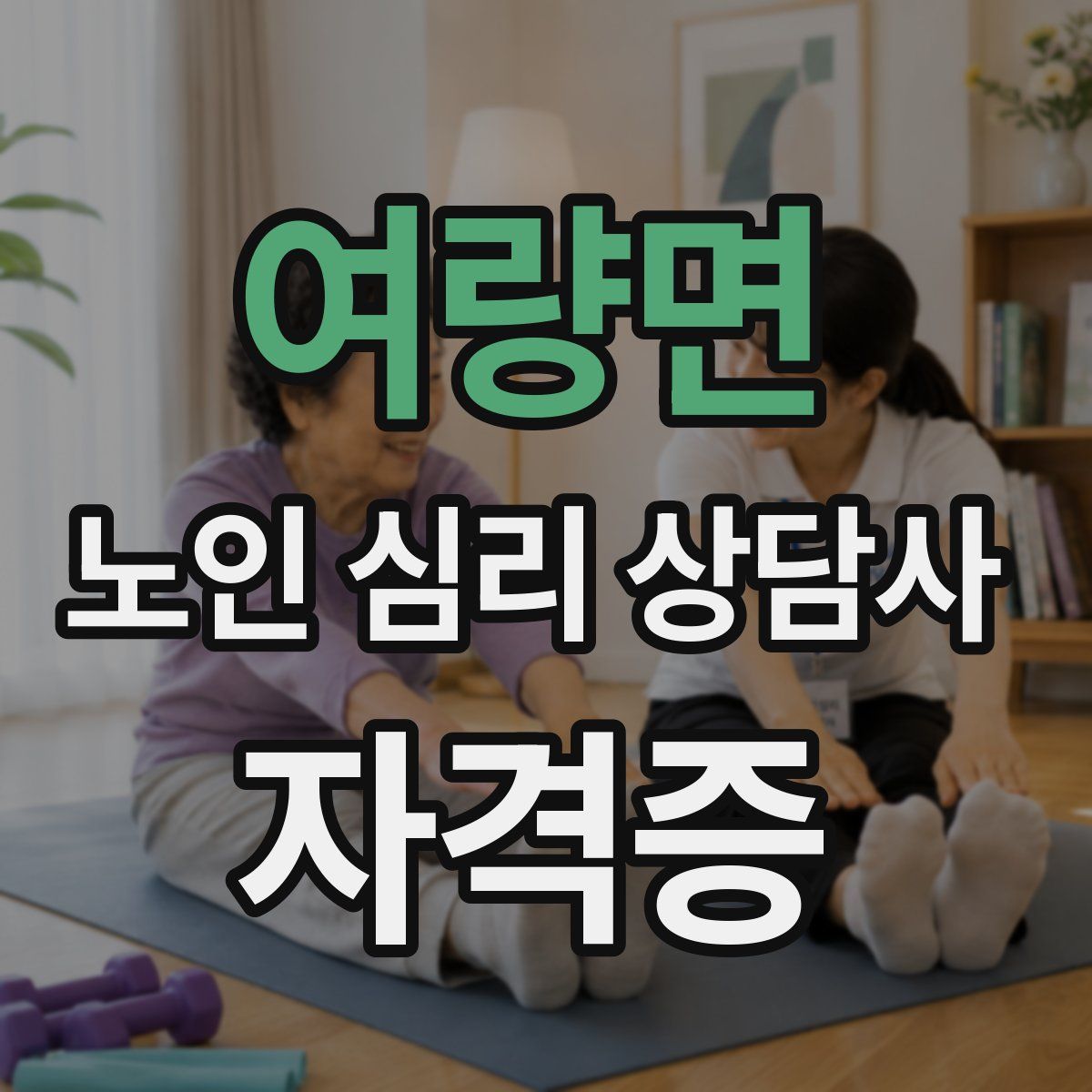 여량면 노인 심리 상담사 자격증