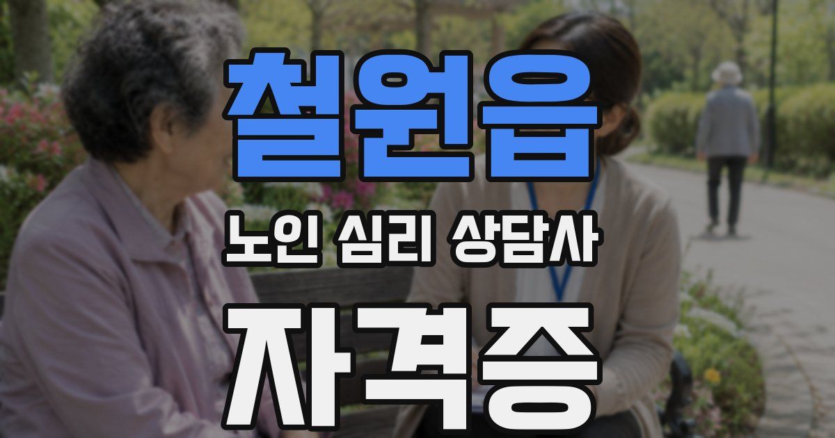 철원읍 노인 심리 상담사 자격증
