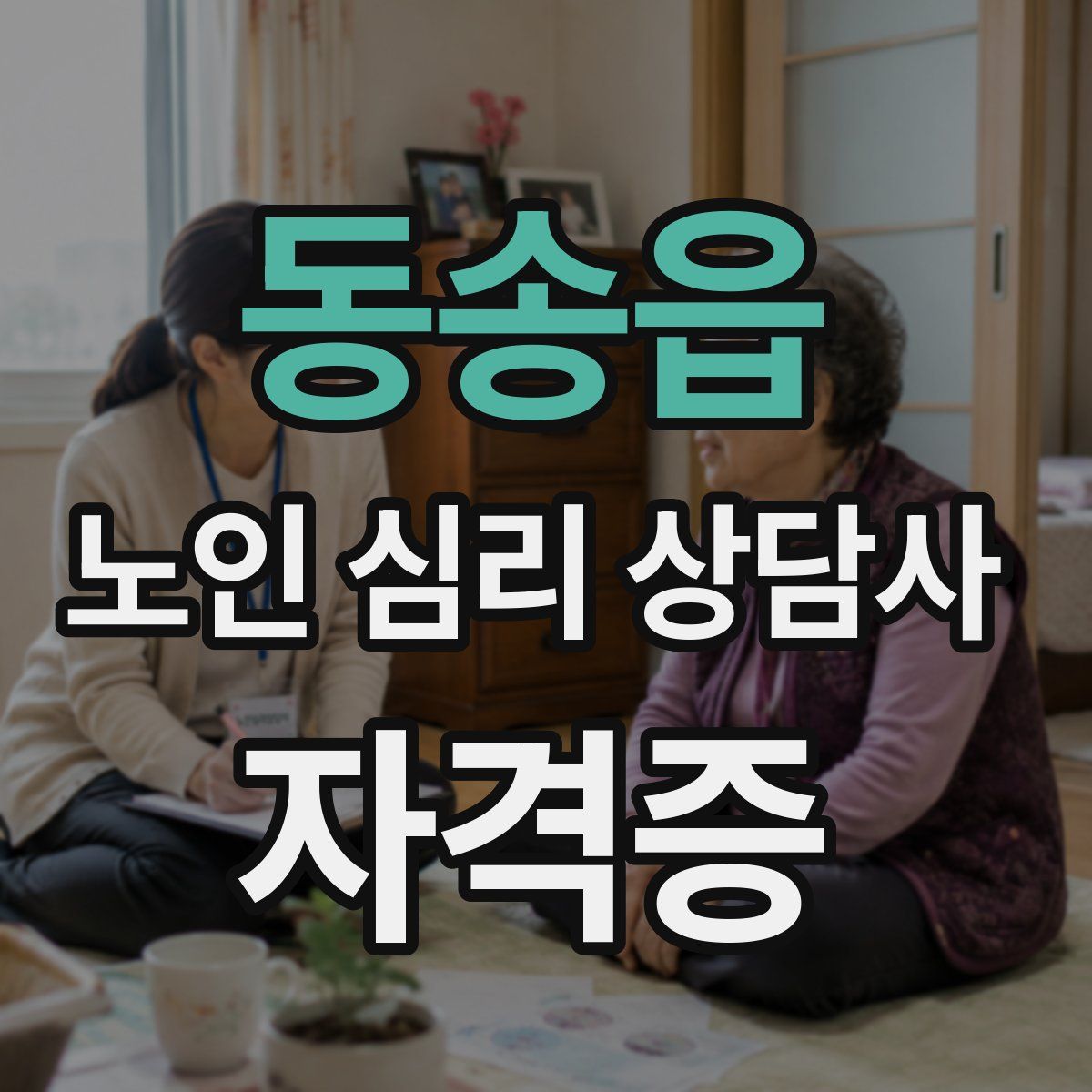 동송읍 노인 심리 상담사 자격증