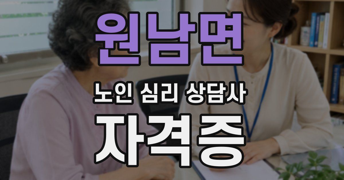 원남면 노인 심리 상담사 자격증