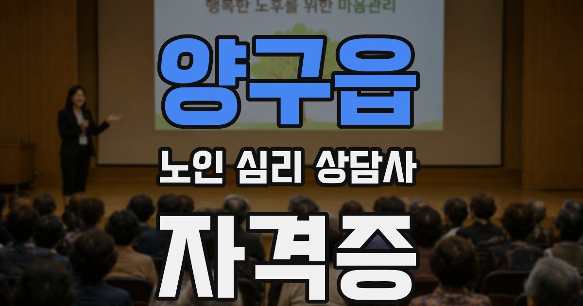양구읍 노인 심리 상담사 자격증